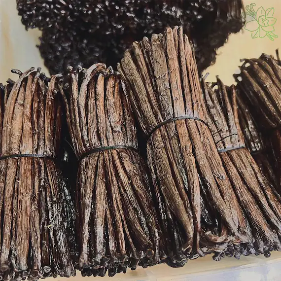 il_570xN.6847198308_t0qs Madagascar vanilla beans